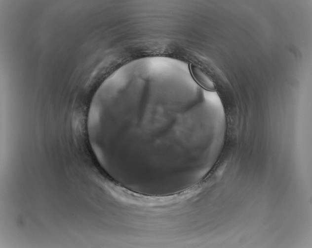 X0000112890035200909111513