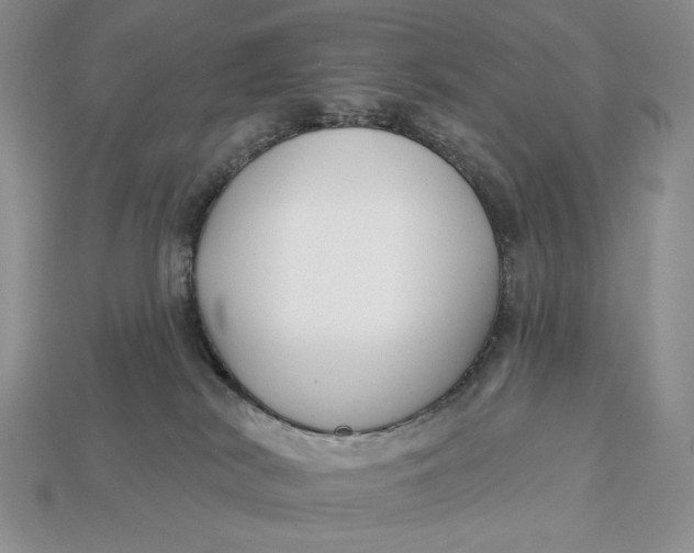 X0000112890038200909111513