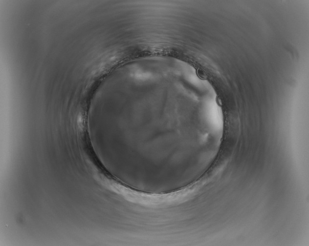 X0000112890039200909111513