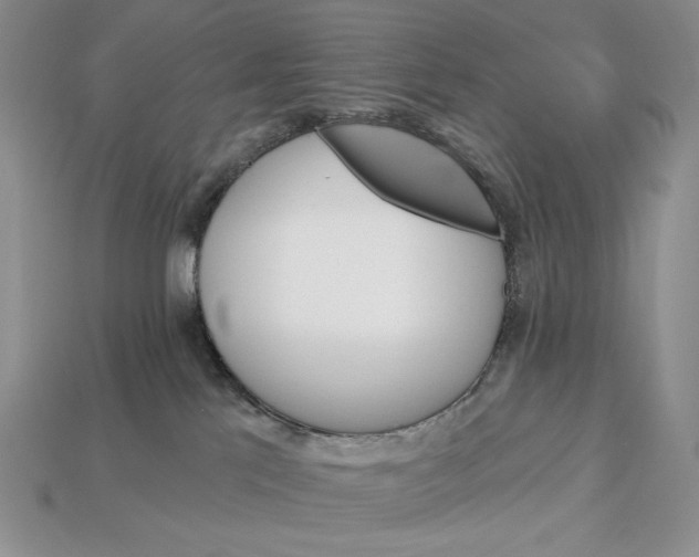 X0000112890041200909111513