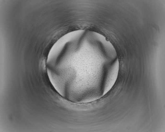 X0000112890042200909111513