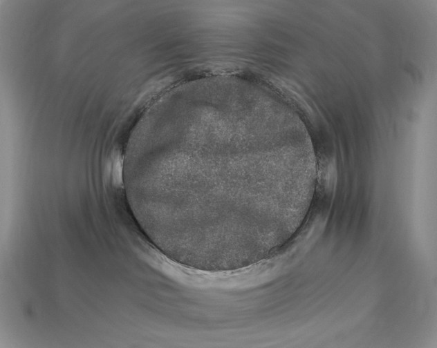 X0000112890046200909111513