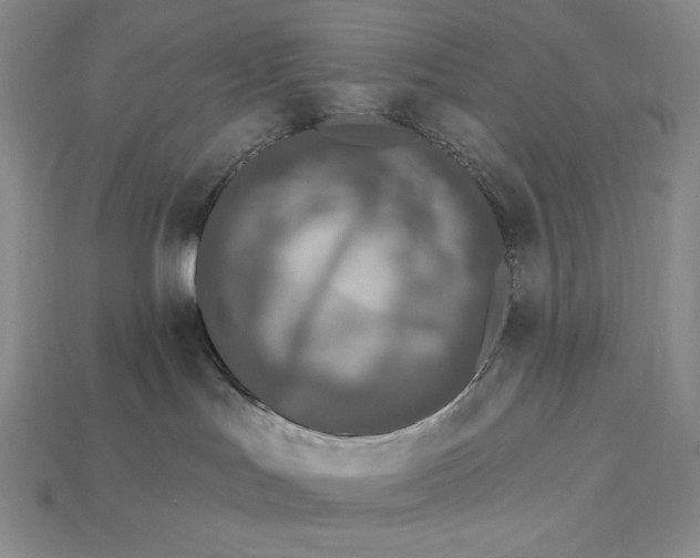 X0000112890047200909111513