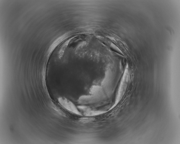 X0000112890051200909111512