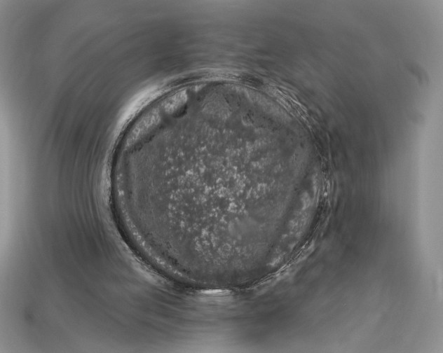 X0000112890053200909111512