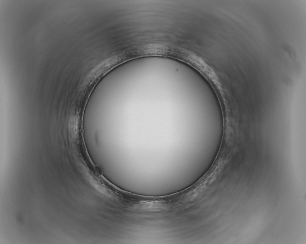 X0000112890057200909111512