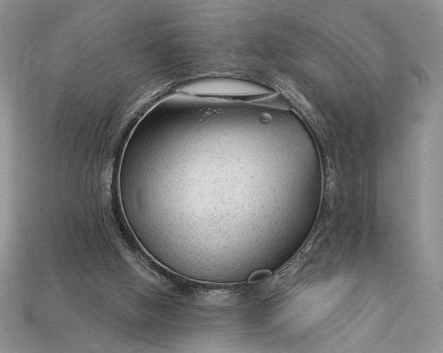 X0000112890058200909111512