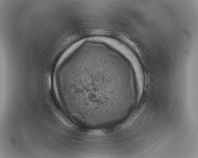 X0000112890061200909111512