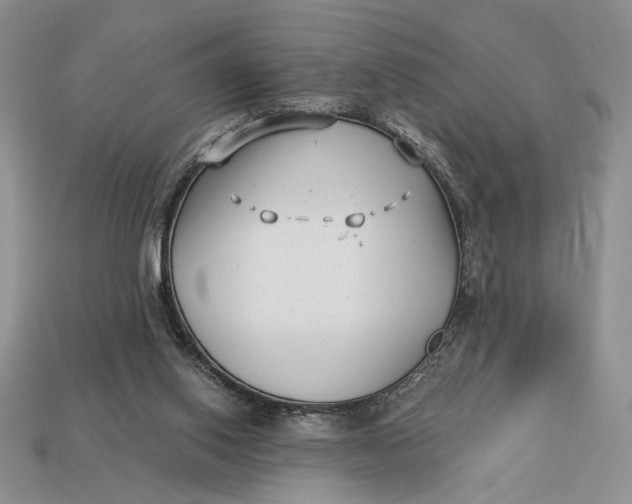 X0000112890062200909111512