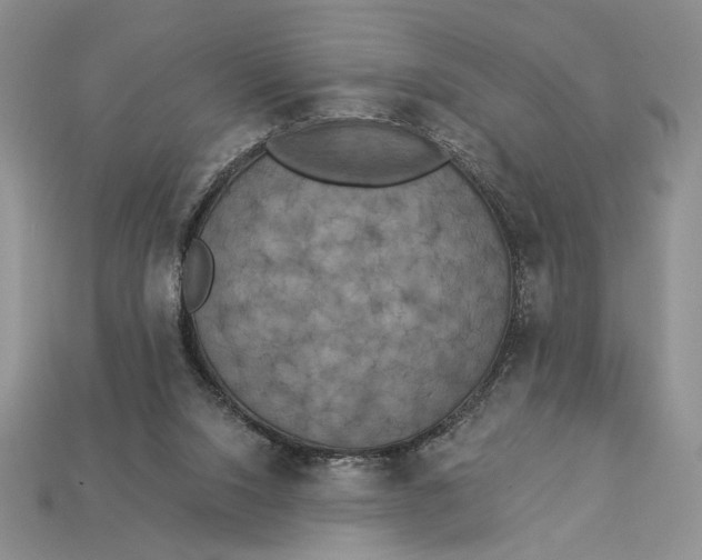 X0000112890064200909111512