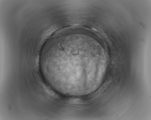 X0000112890066200909111512