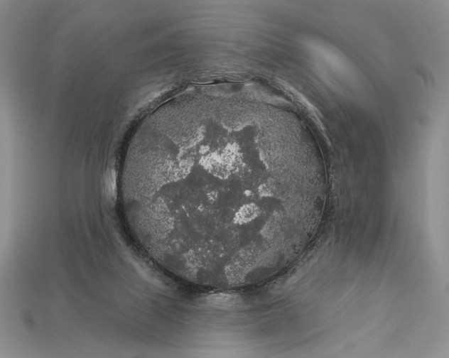 X0000112890067200909111512