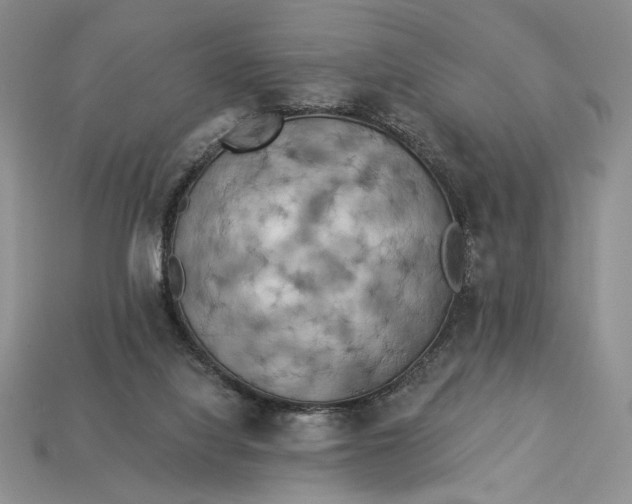 X0000112890068200909111512