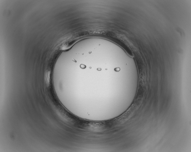 X0000112890070200909111512