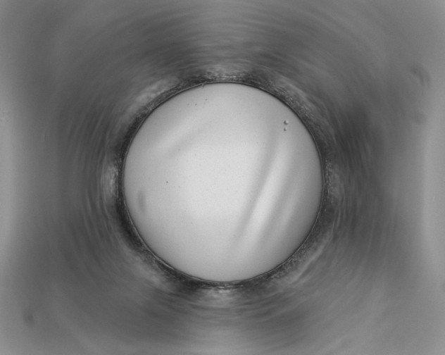 X0000112890071200909111512