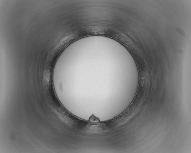 X0000112890072200909111512