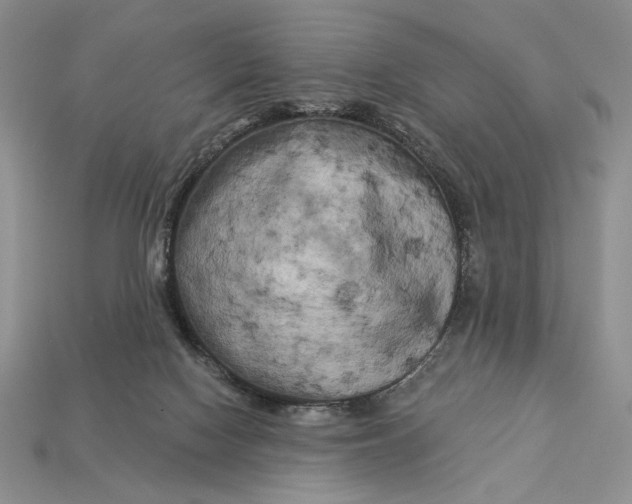 X0000112890074200909111512
