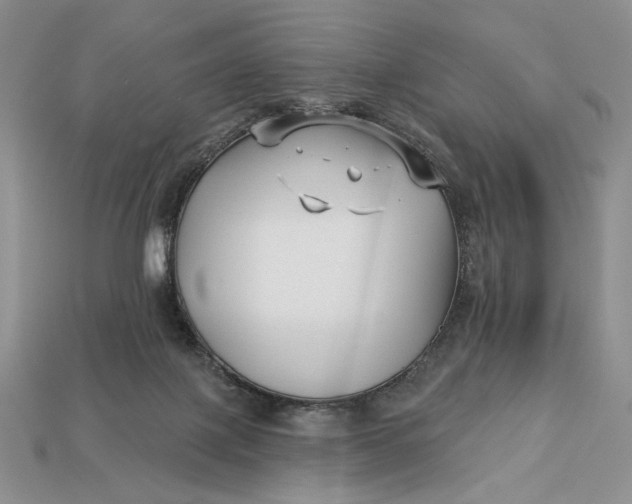 X0000112890075200909111512