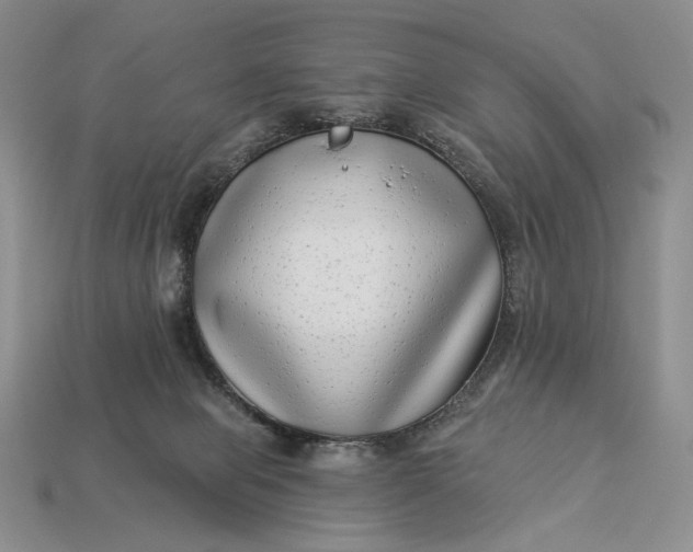 X0000112890077200909111512