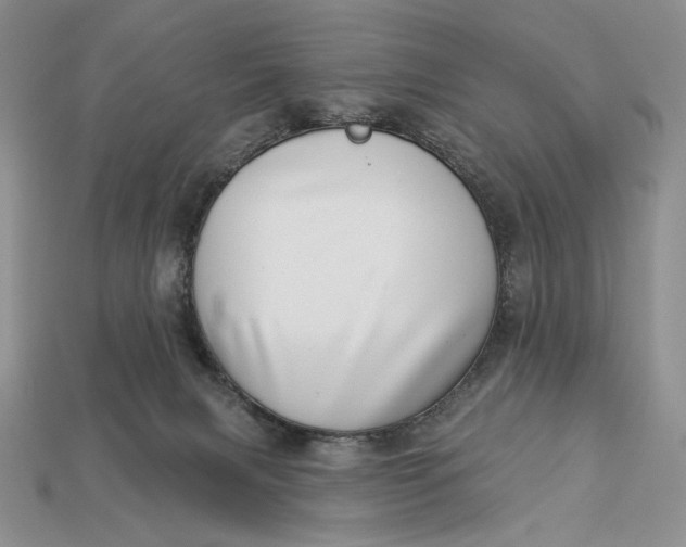 X0000112890079200909111512