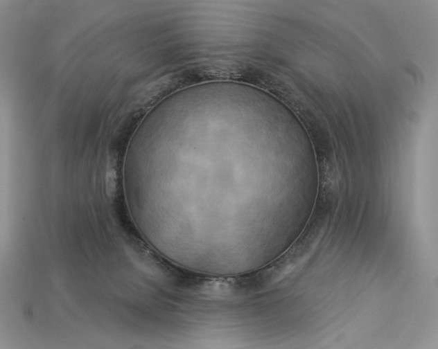 X0000112890080200909111512