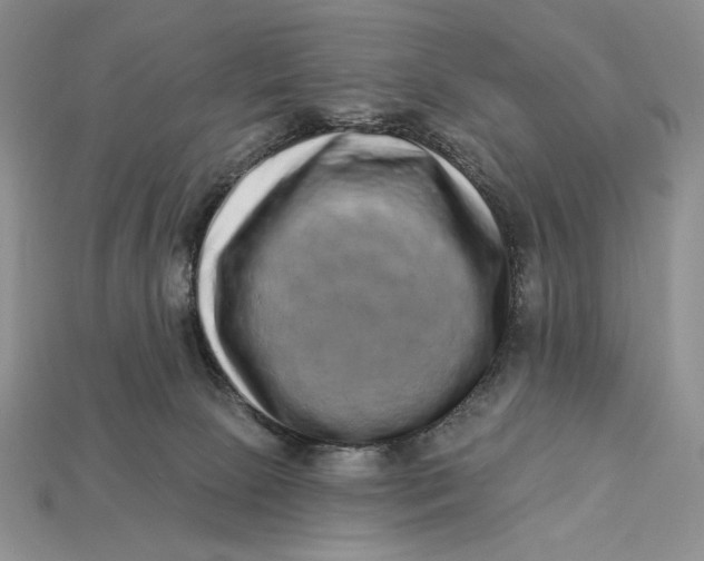 X0000112890081200909111512