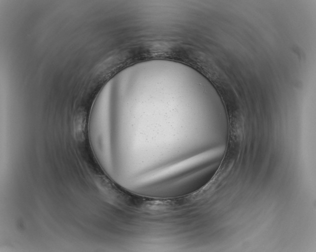 X0000112890082200909111512