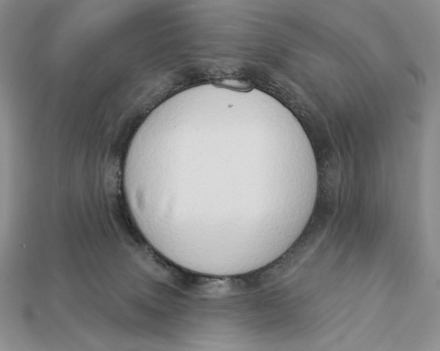 X0000112890083200909111512