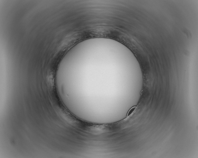 X0000112890086200909111513