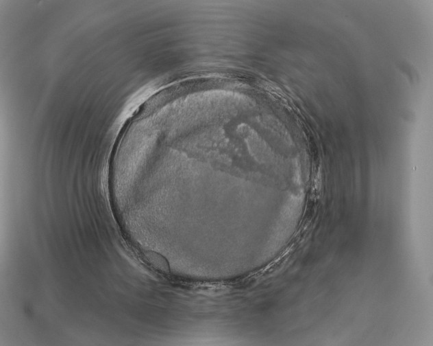 X0000112890099200909111512