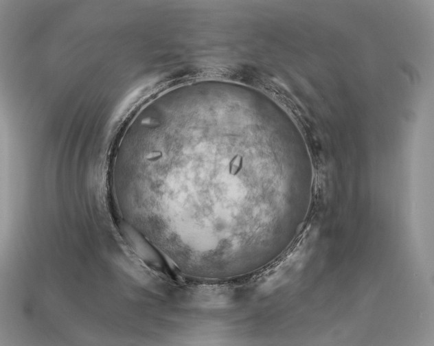 X0000112890101200909111512