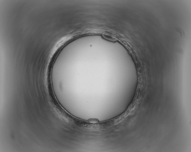 X0000112890104200909111512