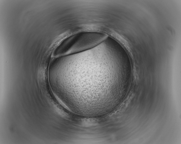 X0000112890105200909111512