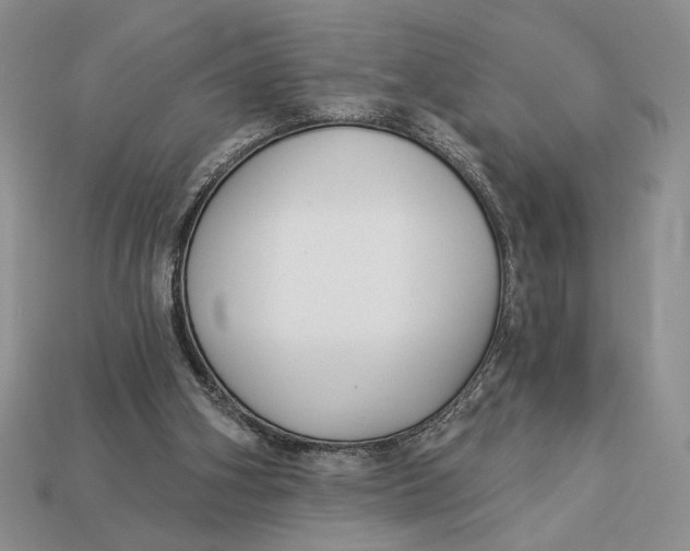 X0000112890106200909111512