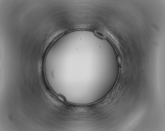 X0000112890107200909111512