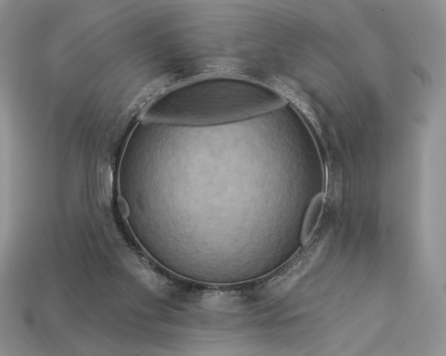 X0000112890109200909111512