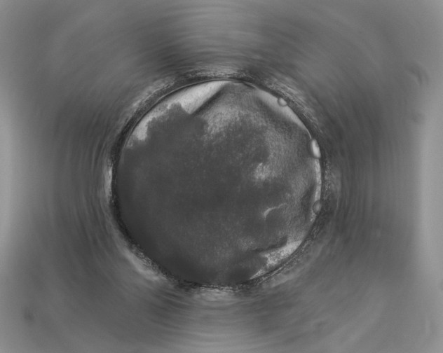 X0000112890110200909111512