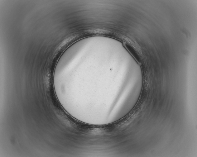 X0000112890111200909111512