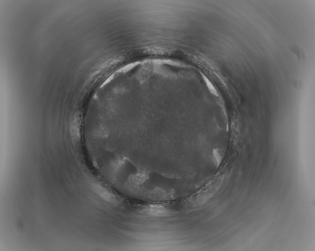 X0000112890114200909111512