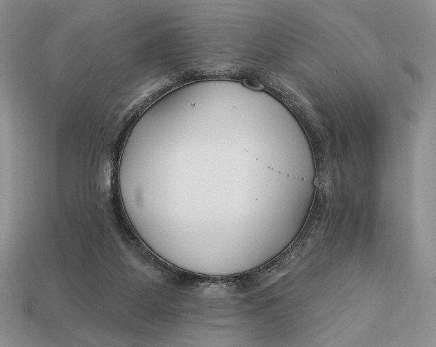 X0000112890115200909111512