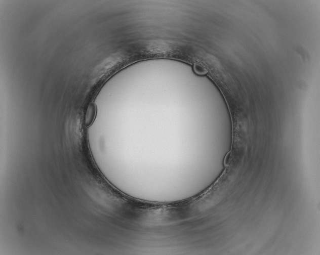 X0000112890116200909111512
