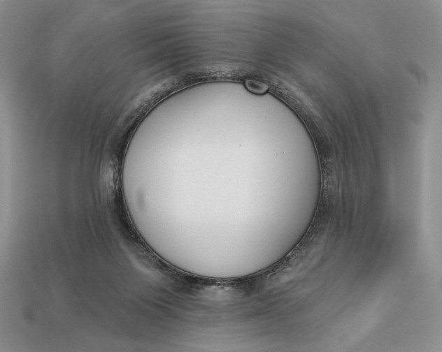 X0000112890119200909111512