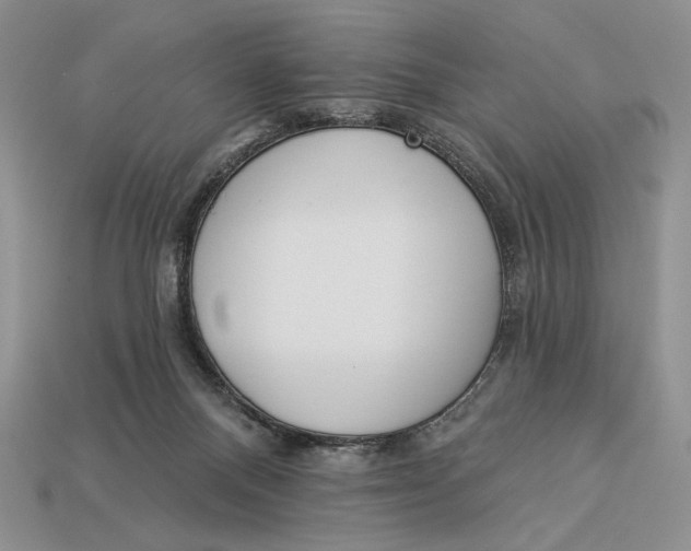 X0000112890120200909111512