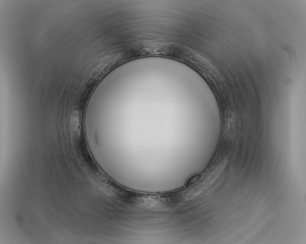 X0000112890121200909111512
