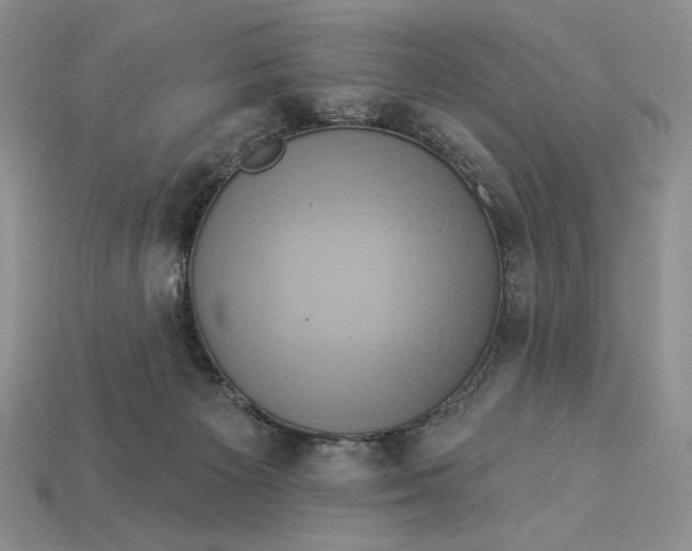 X0000112890125200909111512