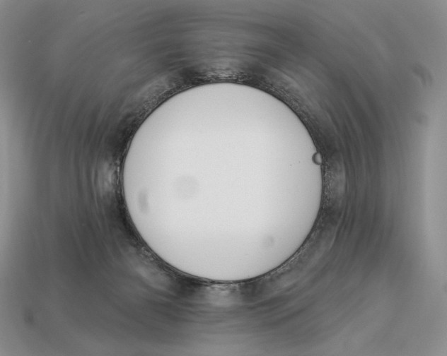 X0000112890126200909111512
