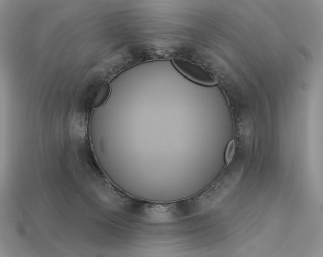 X0000112890129200909111512