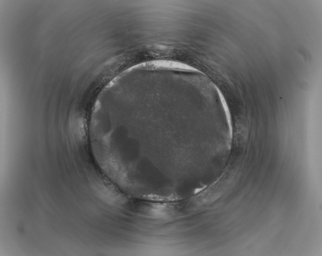 X0000112890130200909111512
