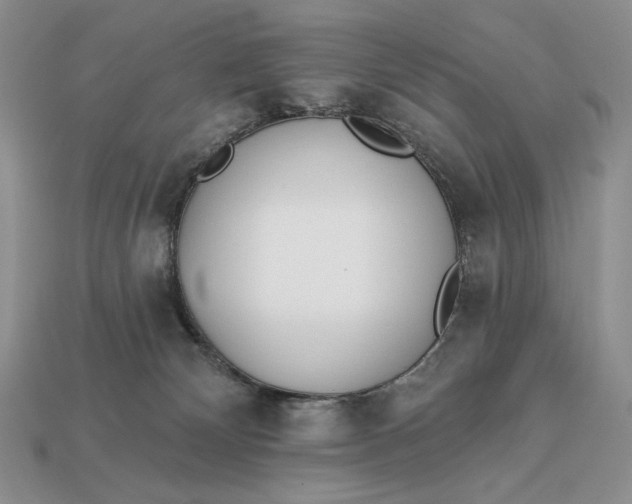 X0000112890132200909111512