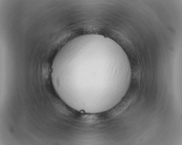 X0000112890133200909111512